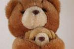 Teddy Bears Hugging