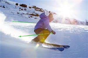 Alpine Downhill Skiing